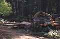 Logging equipment creating a loading landing